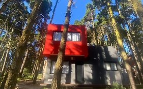 Bosque Libertad Loft